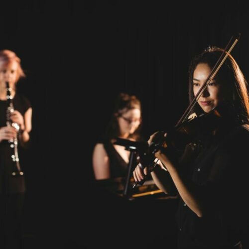 Новосибирцы все чаще выбирают классическую музыку