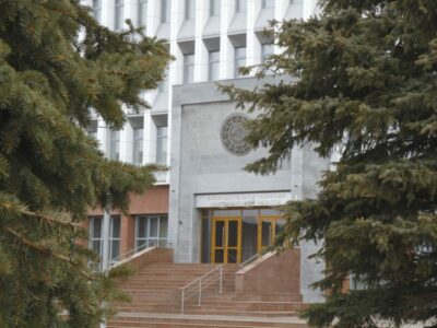 новосибирские депутаты приняли закон об эвтаназии животных в первом чтении