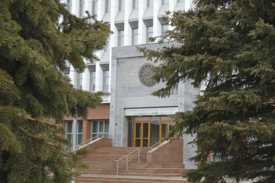 новосибирские депутаты приняли закон об эвтаназии животных в первом чтении новосибирские депутаты приняли закон об эвтаназии животных в первом чтении