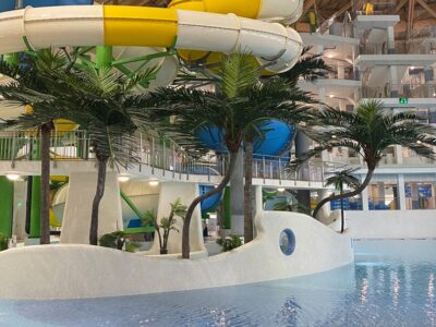 Задержан глава АСВ по делу об аквапарке Новосибирска