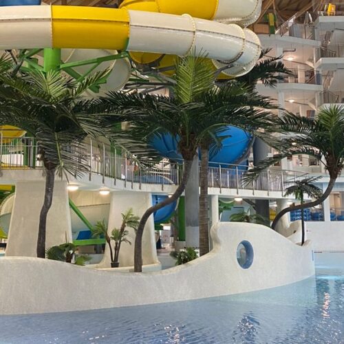 Задержан глава АСВ по делу об аквапарке Новосибирска