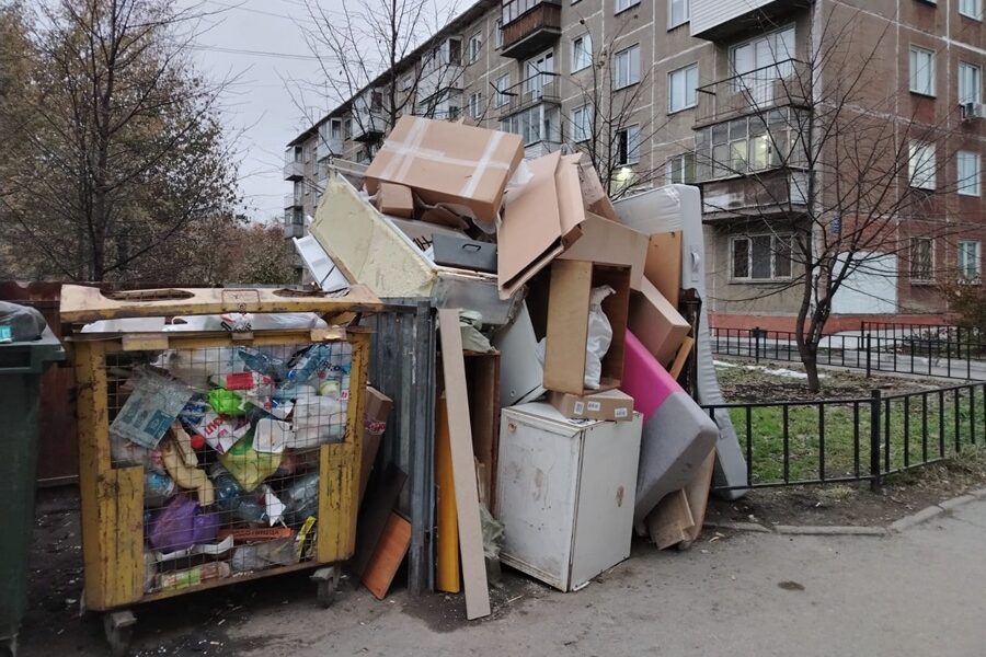 Новосибирское «Спецавтохозяйство» дробит лоты для привлечения малого бизнеса