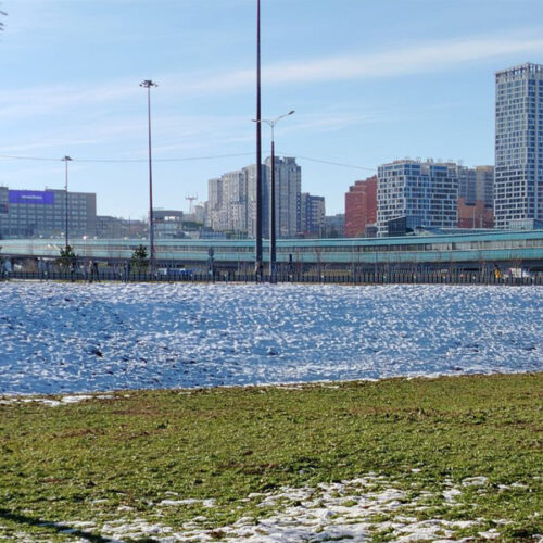 город Новосибирск