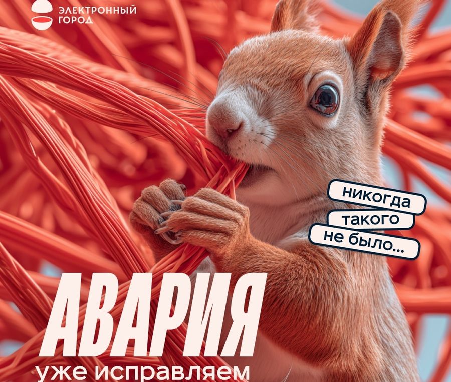 "Новотелеком" подтвердил наличие проблемы с доступом в Интернет