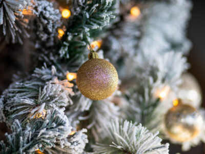 «Конёк-Горбунок» на Губернаторской елке обоёдется в 5,5 миллиона рублей