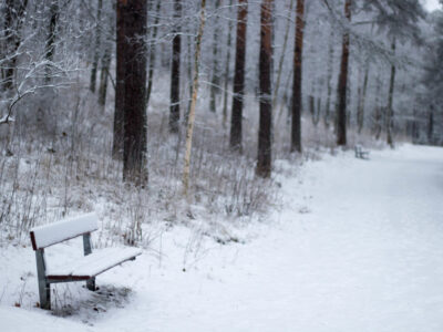 В новосибирских парках начали арендовать электроснегокаты
