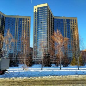 В Новосибирске в объявлениях о продаже квартир стали писать «продавец не Долина»