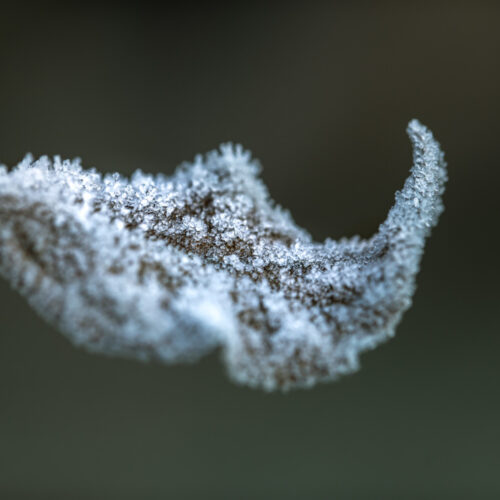 В Новосибирске прогнозируют резкое потепление к выходным