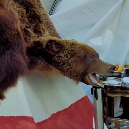 Росстат посоветовал туристам пробовать в Новосибирске кебаб из медвежатины