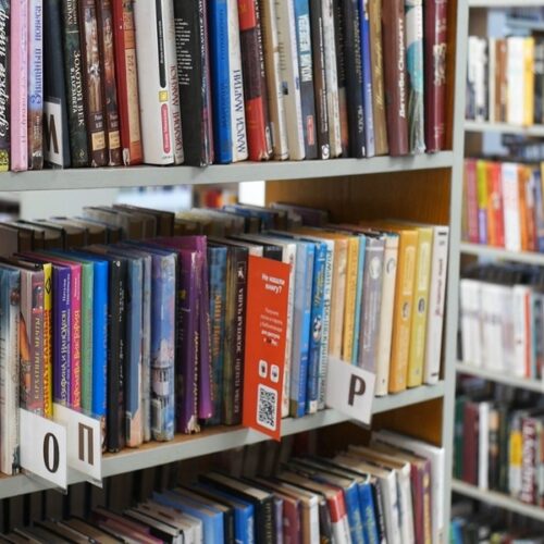 «Мы боимся что-то пропустить и убираем все сомнительное»: в Новосибирске библиотеки ждут, когда ИИ будет искать «запрещенку» среди книг