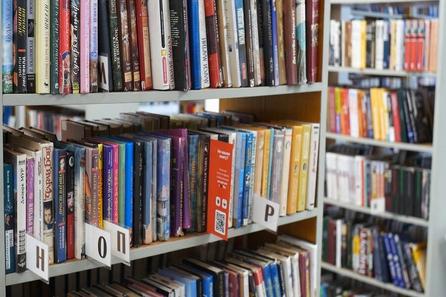 «Мы боимся что-то пропустить и убираем все сомнительное»: в Новосибирске библиотеки ждут, когда ИИ будет искать «запрещенку» среди книг