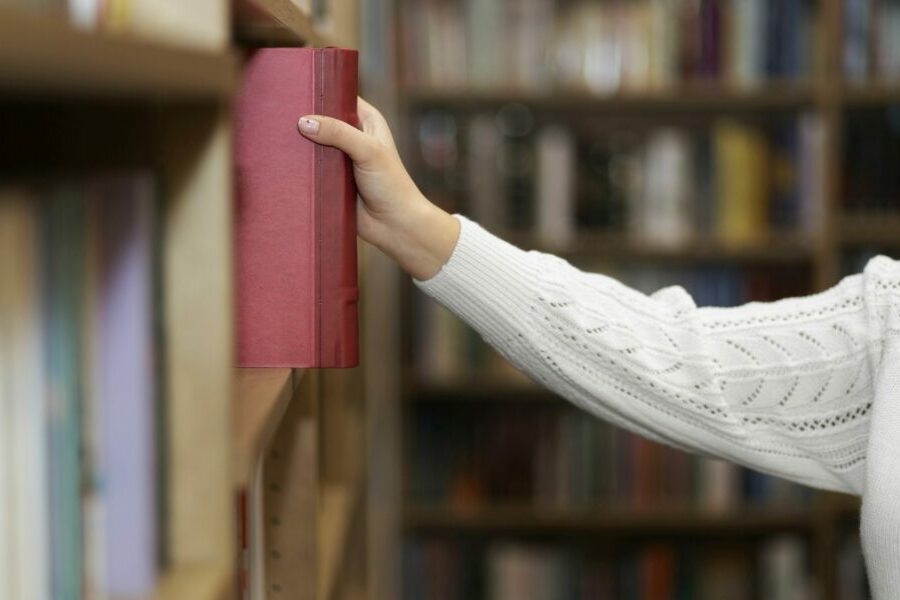 Исследование: коты стали главными героями литературных предпочтений россиян