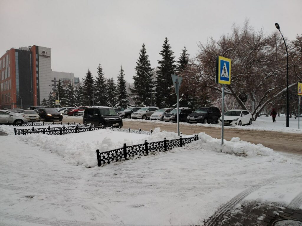 Новосибирцы рассказали о цветовых предпочтениях при покупке машин