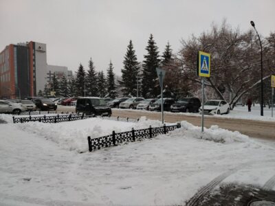 Новосибирцы рассказали о цветовых предпочтениях при покупке машин