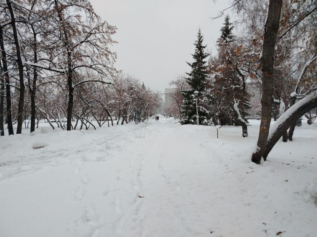 На выходных в Новосибирске потеплеет до +3 градусов