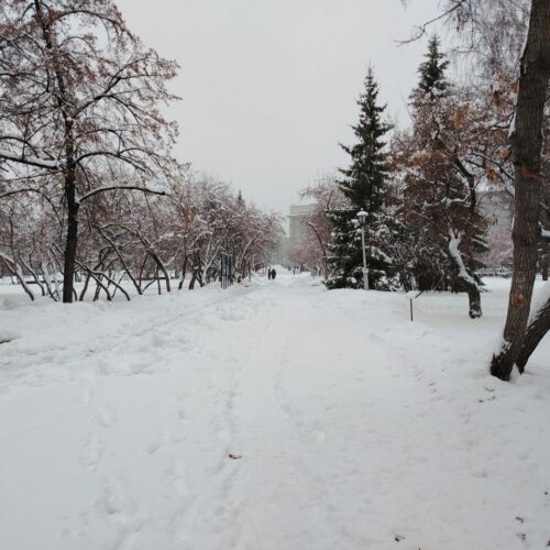 В Новосибирске на выходные снег, гололед и сильный ветер на выходных