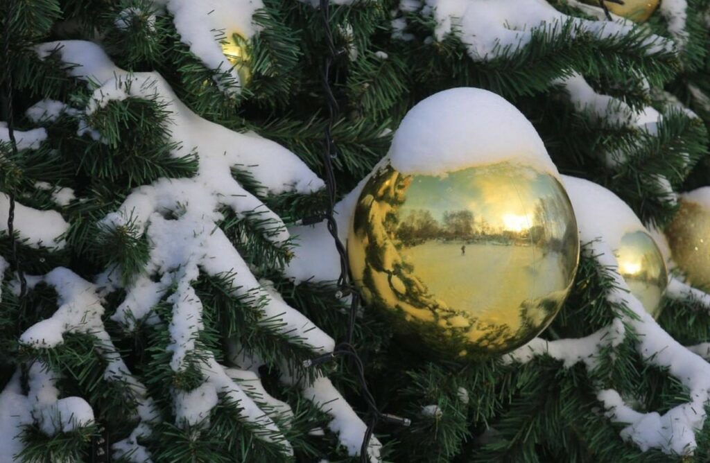 Мэрия Новосибирска определила концепцию стиля и празднования Нового 2026 года