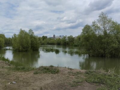 парк Усть-Тула