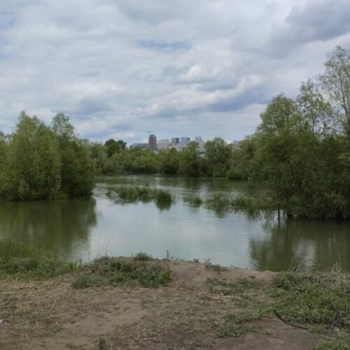 парк Усть-Тула