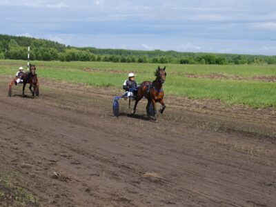 Список земель для туризма в Новосибирске пополнили ипподром и участок у озера