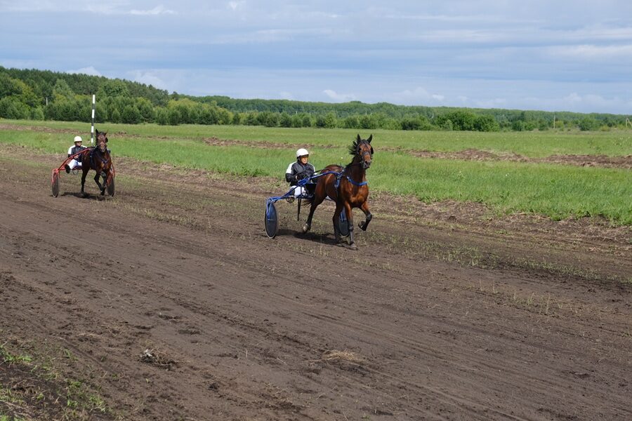 Список земель для туризма в Новосибирске пополнили ипподром и участок у озера