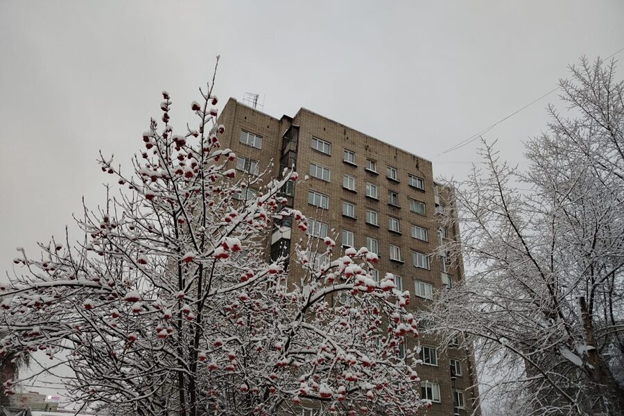 Налоговики нашли около семи тысяч новосибирцев, зарабатывающих на аренде квартир