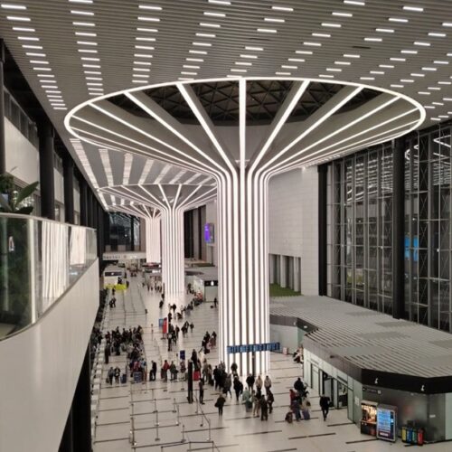 На территории Толмачево открылся пункт миграционного контроля