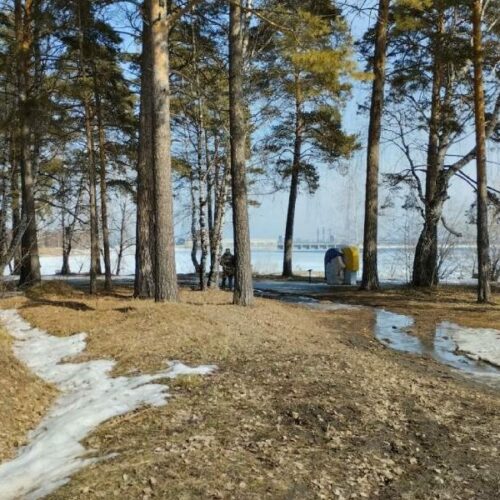 В Новосибирской области объявили предупреждение из-за сильного ветра
