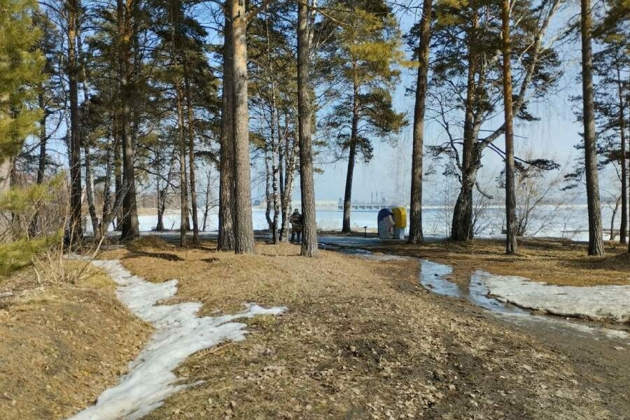 В Новосибирской области объявили предупреждение из-за сильного ветра
