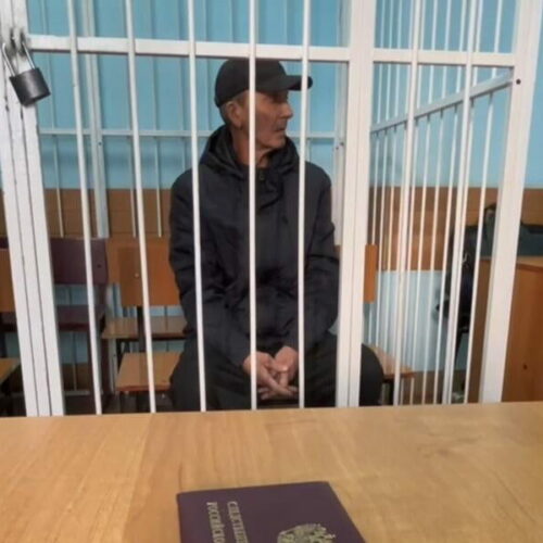 Водителю, виновному в гибели двухлетнего малыша в Новосибирске, вынесли приговор