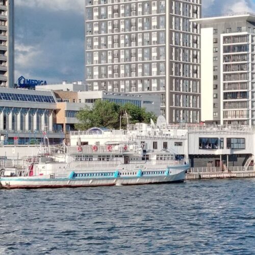 На создание речных причалов в Новосибирске необходимо около 500 млн рублей