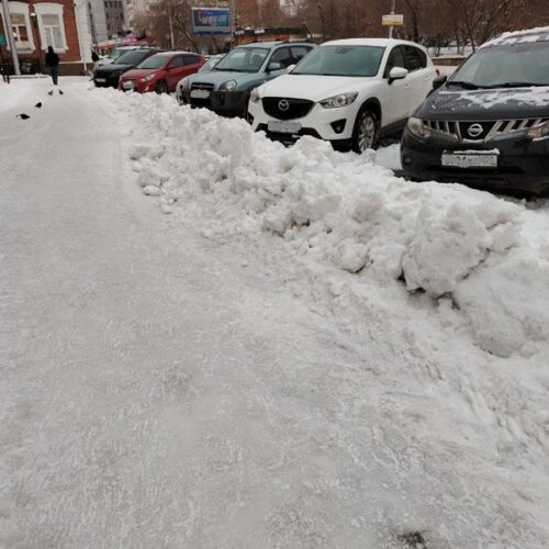 Мэр Новосибирска получил представление прокуратуры за уборку города