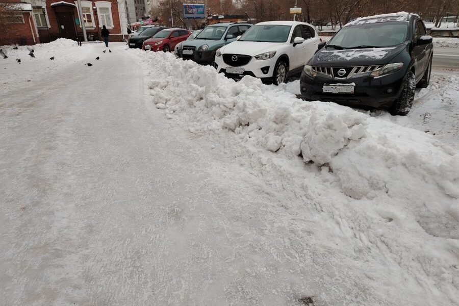 Мэр Новосибирска получил представление прокуратуры за уборку города