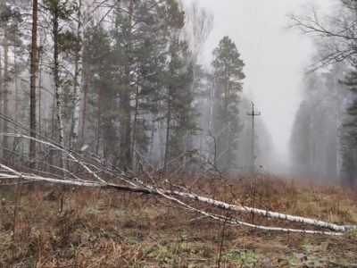 В Новосибирске и области устраняют последствия ураганного ветра