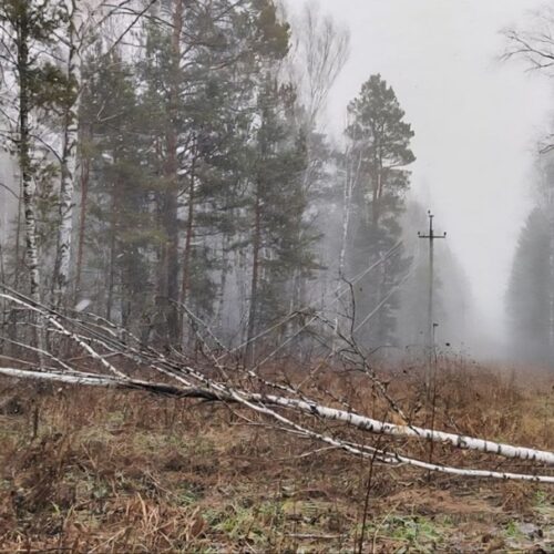 В Новосибирске и области устраняют последствия ураганного ветра