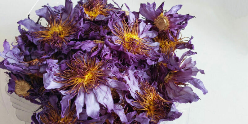 Новосибирские таможенники запретили сибирячке пить изменяющий сознание чай