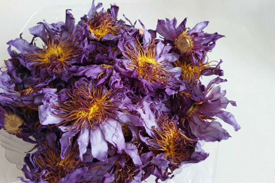 Новосибирские таможенники запретили сибирячке пить изменяющий сознание чай