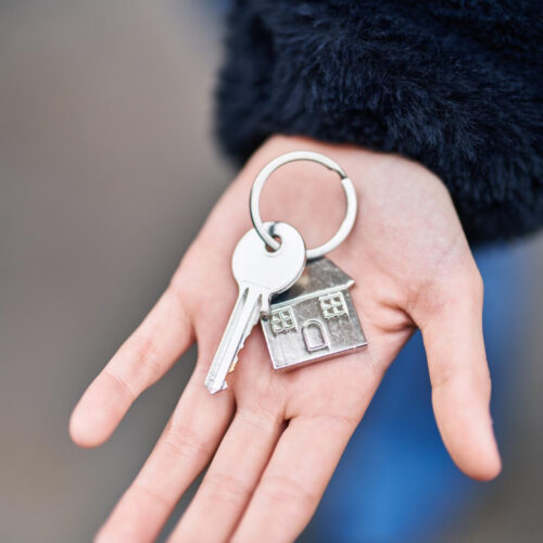 Мошенники продали 12 квартир в Новосибирске за 2025 год