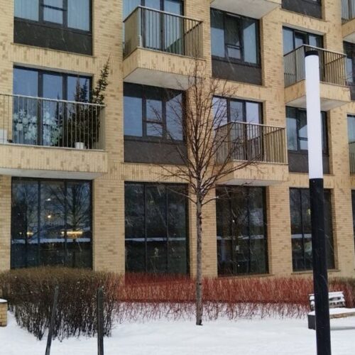 «Эффект Долиной»: в Новосибирске с продавцов квартир стали чаще требовать справки от психиатров