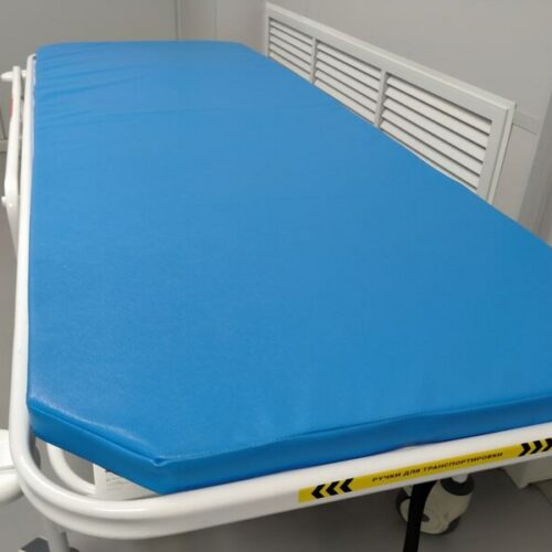 Главврач новосибирской больницы сообщила, кого сейчас госпитализируют с гриппом