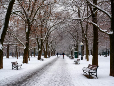 В Новосибирске на выходных прогнозируются снегопады и похолодание до -26