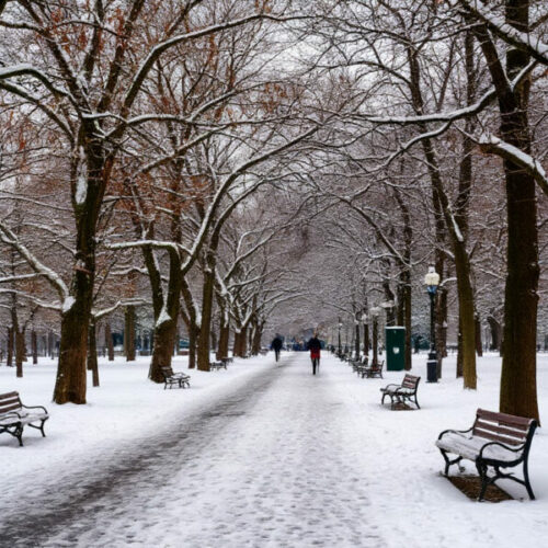 В Новосибирске на выходных прогнозируются снегопады и похолодание до -26