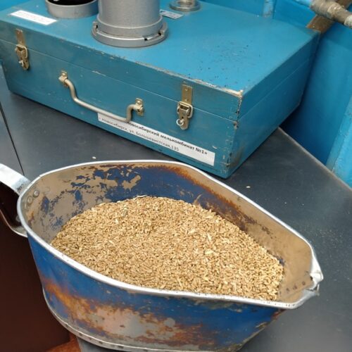 Главным итогом года для новосибирских аграриев может стать рост закредитованности