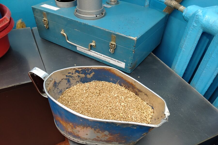 Главным итогом года для новосибирских аграриев может стать рост закредитованности