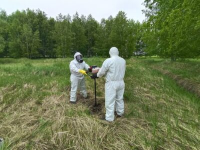 В Новосибирской области за год ликвидировали 88 скотомогильников