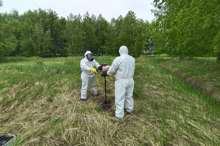 В Новосибирской области за год ликвидировали 88 скотомогильников