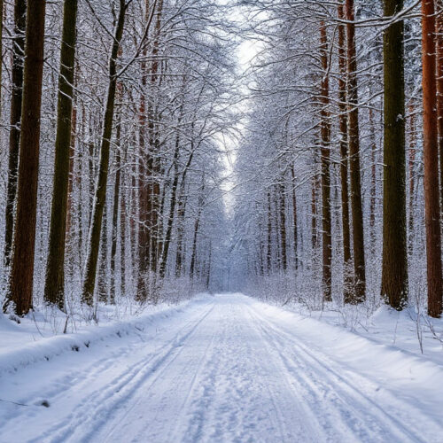 В выходные в Новосибирской области похолодает до -25