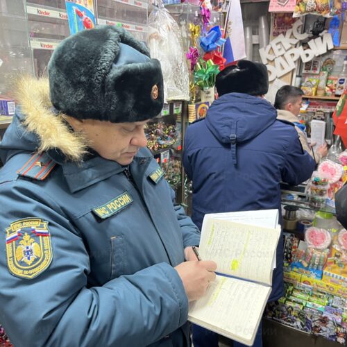 В Новосибирске перед Новым годом проверяют продажу пиротехники