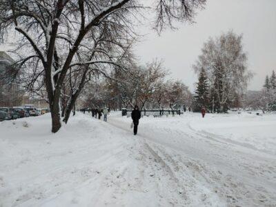 В Новосибирске на выходных ожидаются снегопады и потепление