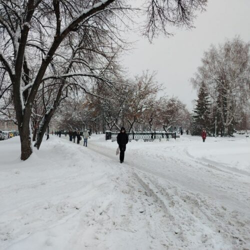 В Новосибирске на выходных ожидаются снегопады и потепление